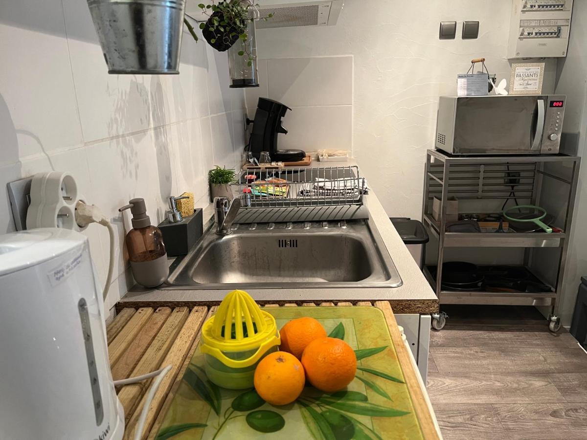Le Studio - La Roquebrussanne Apartment Ngoại thất bức ảnh